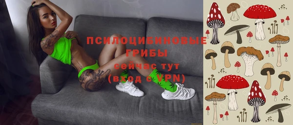 герыч Алексин