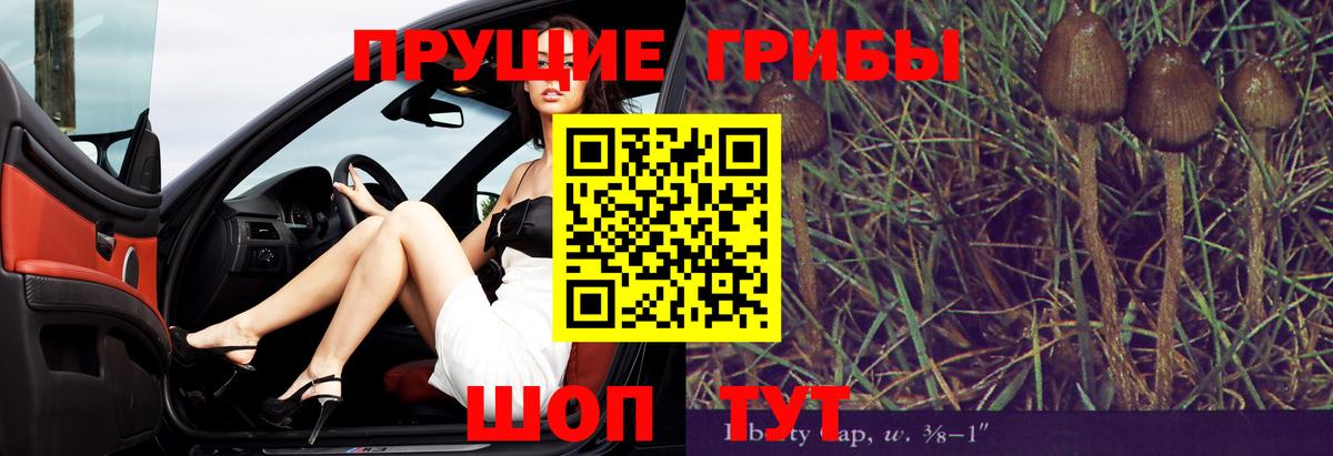 Псилоцибиновые грибы Psilocybine cubensis Алексеевка
